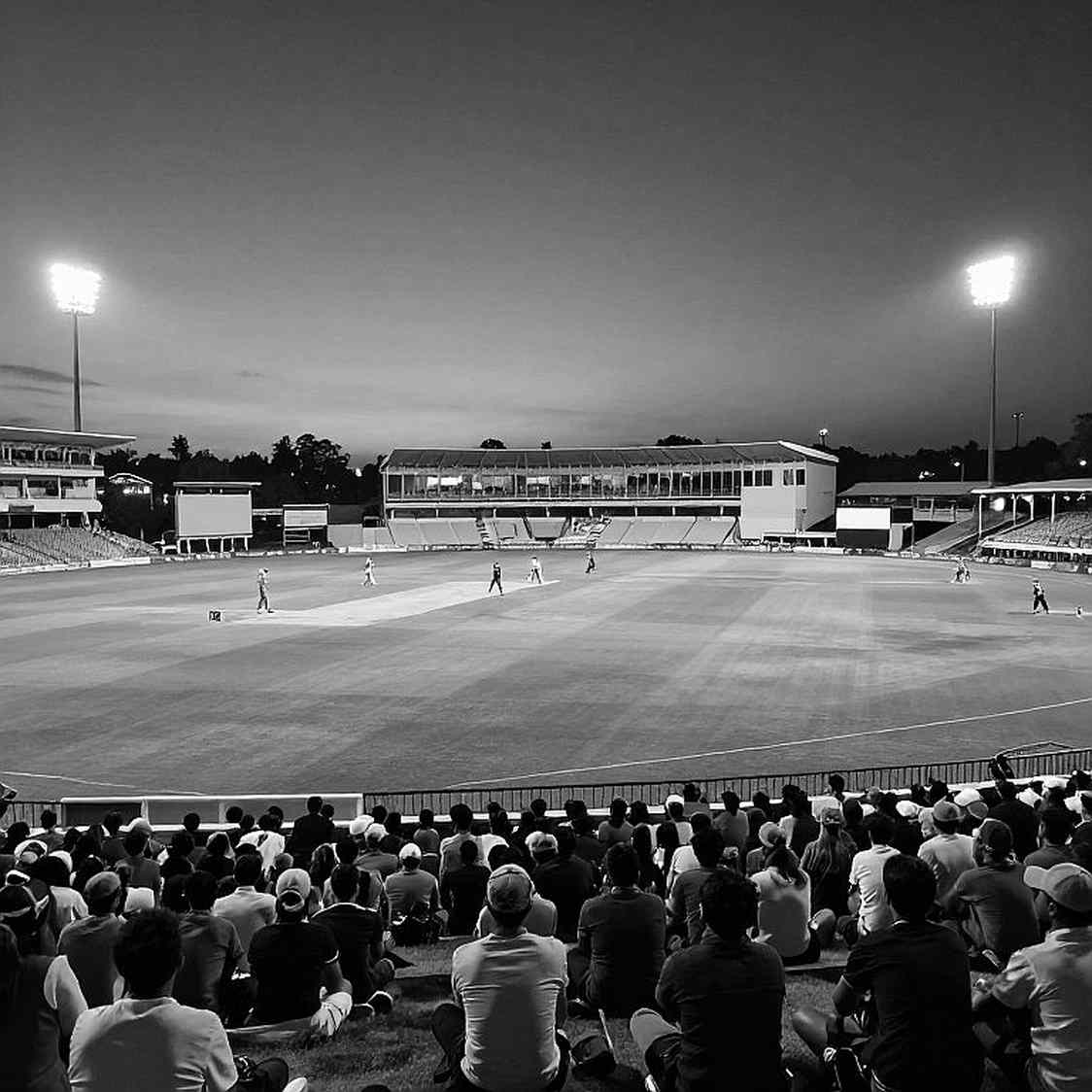 Reading the Null Payload: The Foundation of Cricket Analysis and the Crisis of Data Integrity